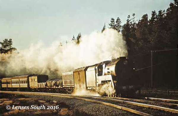 3807 Wingello steam train moss vale